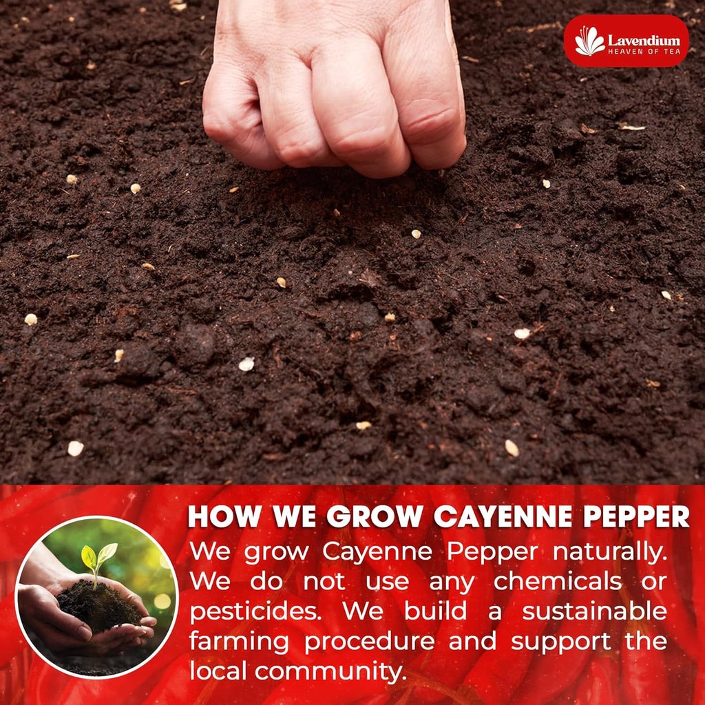 Premium Cayenne Pepper Powder– Pure Ground Red Pepper, Bold and Spicy Flavor