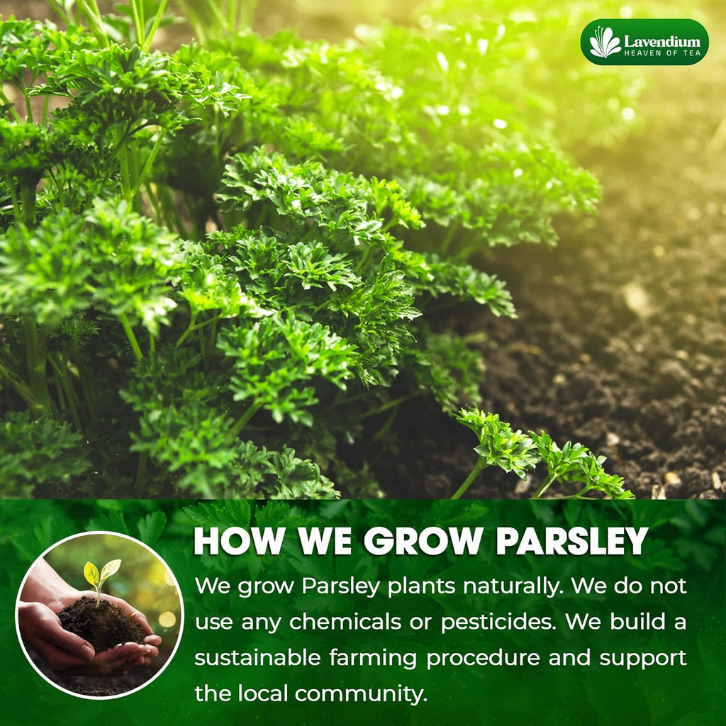 Premium Dried Parsley Leaves – 100% Pure, Non-GMO, Gluten-Free, Vegan – Aromatic Culinary Herb for Cooking, Garnish, and Seasoning