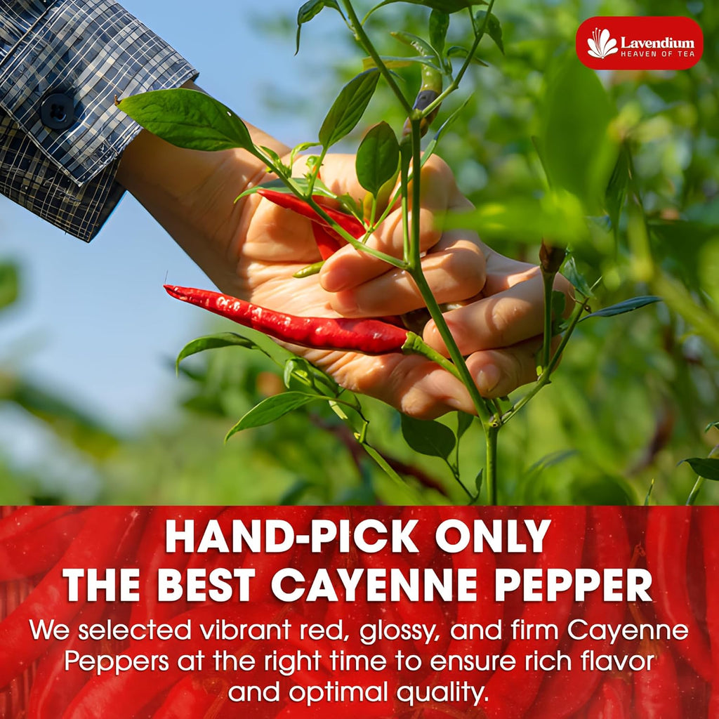 Premium Cayenne Pepper Powder– Pure Ground Red Pepper, Bold and Spicy Flavor