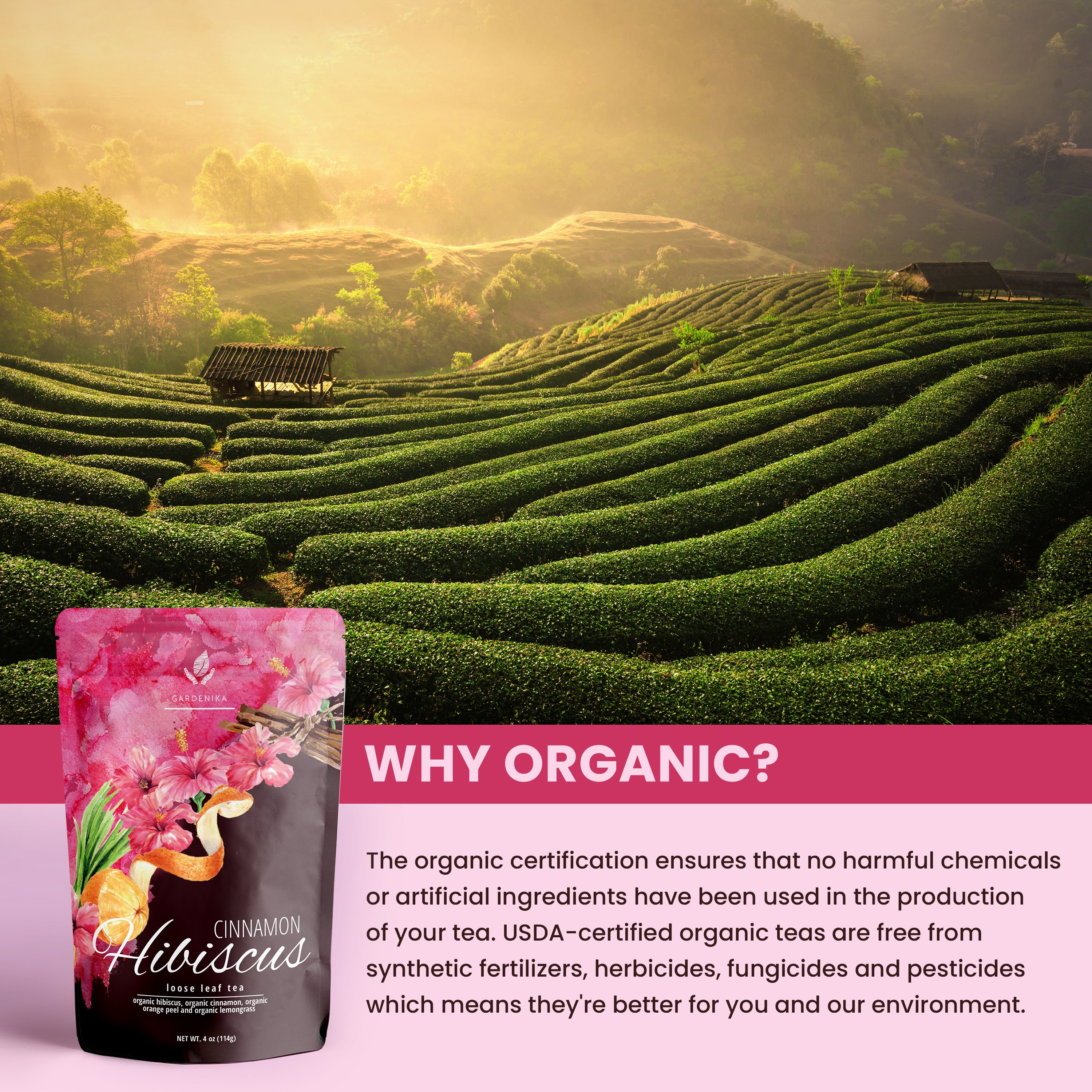 Cinnamon Hibiscus Tea, Antioxidant-Rich Herbal Blend | Organic